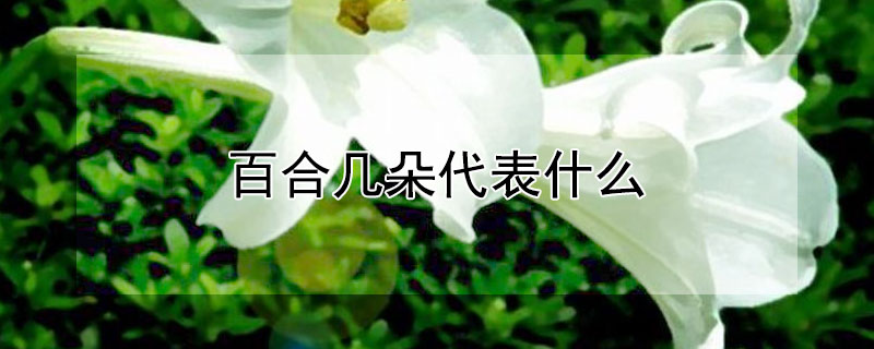 ٺϼʲôٺĺ壩