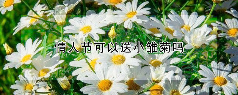 ˽ڿС˽ڿɲСգ