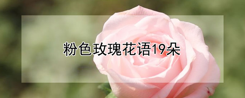 ɫõ廨19ʲô壿19ɫõԢ
