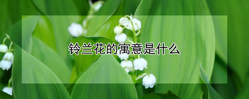 ԢʲôĻ