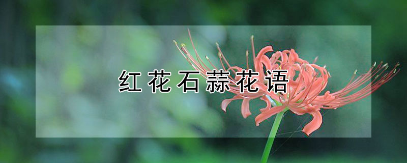 컨ʯ⻨컨ʯʲôԢ⣿
