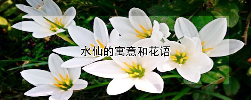 ˮɵԢͻˮʲô壩