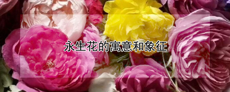 ԢЩ