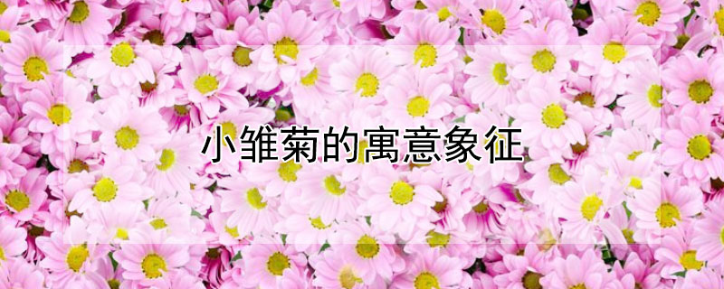 СյԢСЩ壿