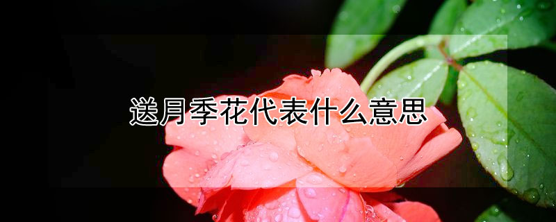 ¼ʲô˼¼ʲô壿