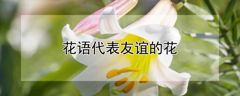 ĻЩĻ꣩
