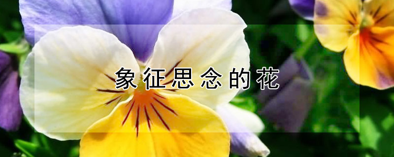 ˼ĻЩ