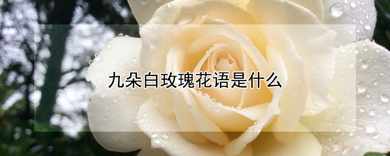 Ŷõ廨ʲôŶõԢ