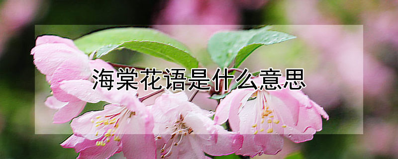 Ļʲô˼ĵԢʾʲô