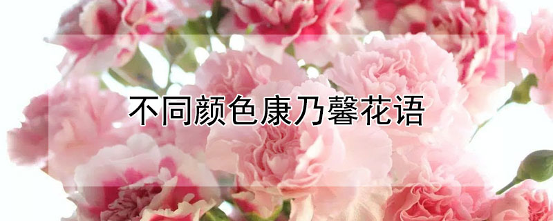 ͬɫܰﺬ壨ͬɫܰʲôԢ⣩