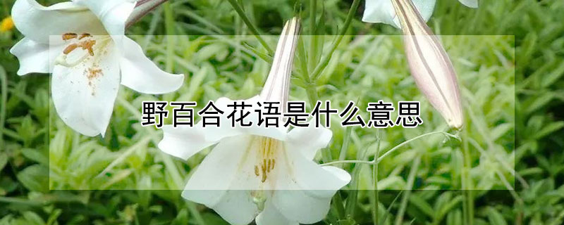 Ұٺϻʲô˼ҰٺʲôԢ⣿