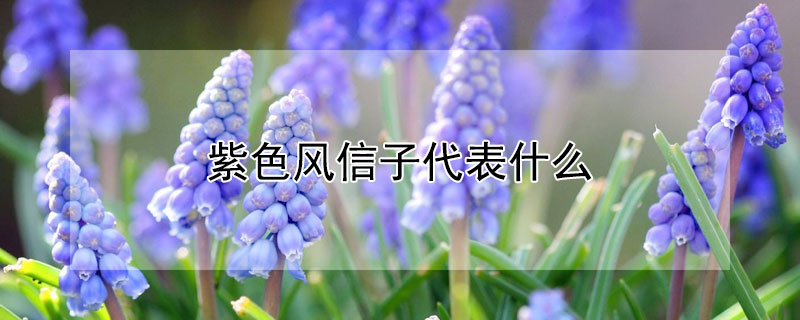 ɫӴʲôɫʲôԢ⣿