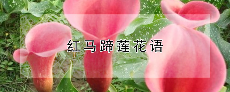 Ԣʲô