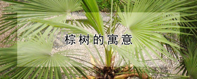 ʲôԢ⣿