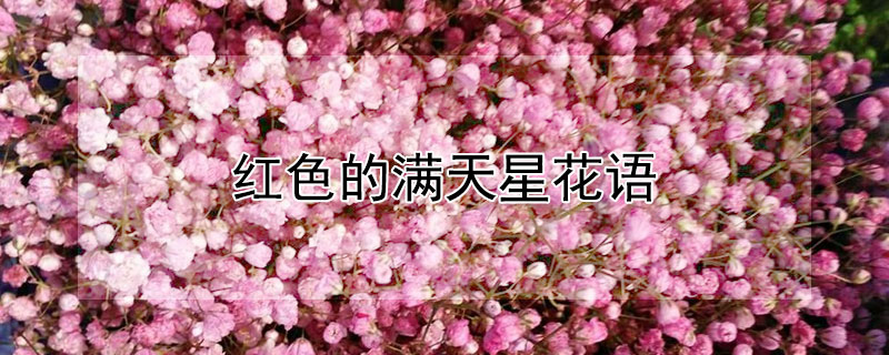 ɫǻʲôʲôԢ⣿