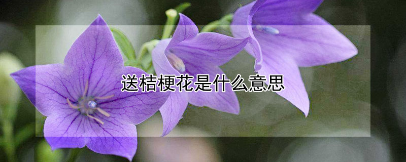 ͽ۹ʲô˼ʲôԢ⣿