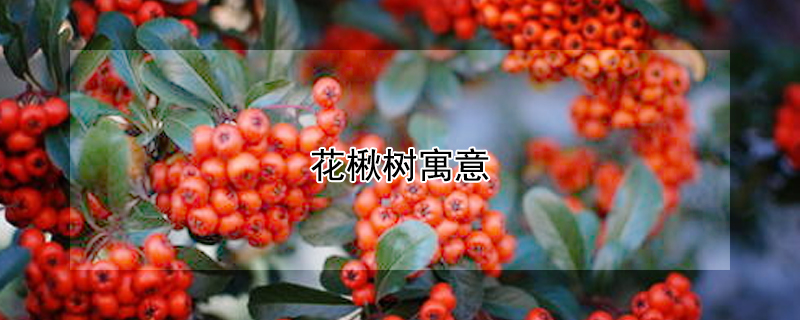 ʲôԢ