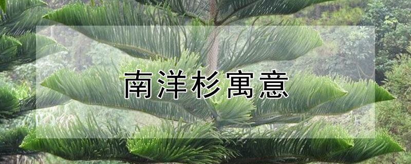 ɼʲôԢ