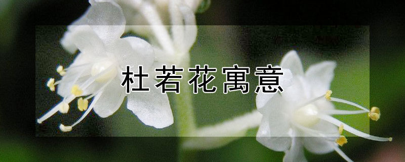 Ԣʲô?