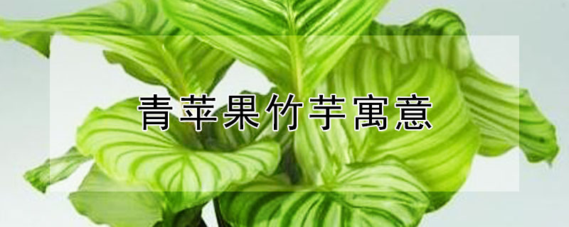 ƻԢ⣬ƻʲô壿