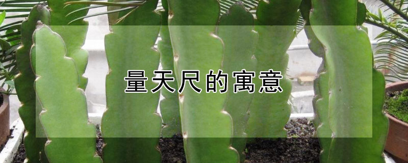 ߵԢ⣨ʲô壩
