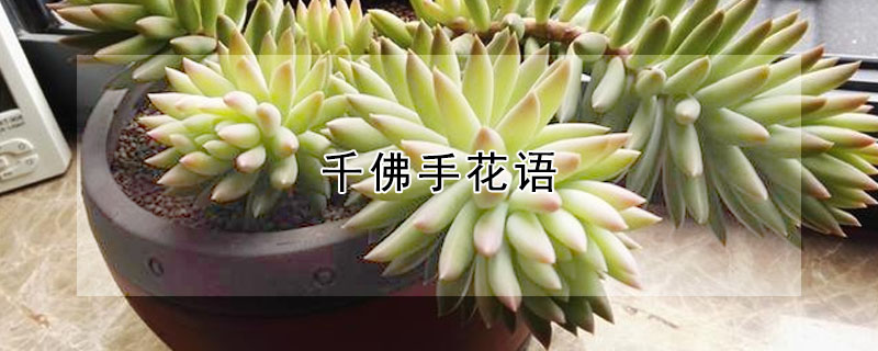 ǧֻǧЩԢ⣿