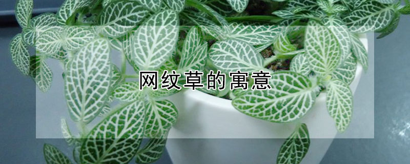 ƲݵԢ⣨Ʋʲô壩