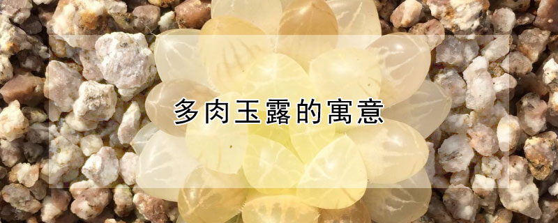 ¶Ԣʲô¶ʲô壩