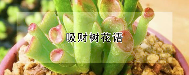ʲôʲô壿