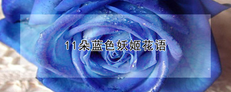 11ɫ