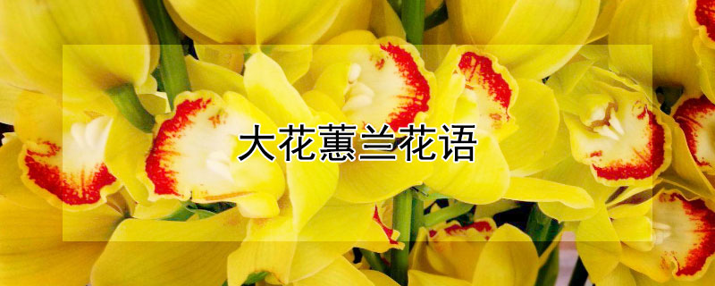 ޥޥʲô壿