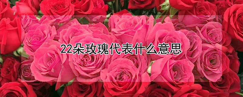 22õʲô˼ͬɫ22õ廨ʲô˼
