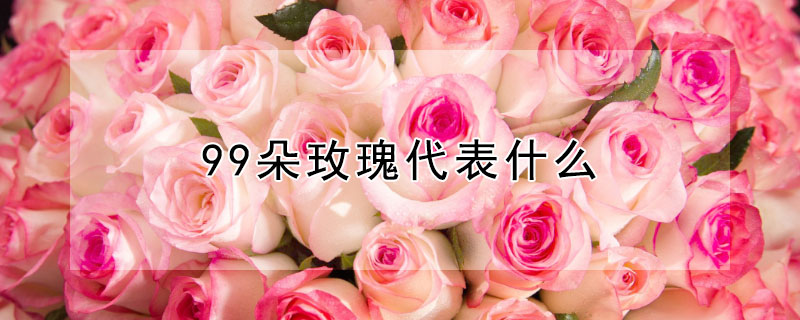 99õʲôʲô壿99õЩ˼