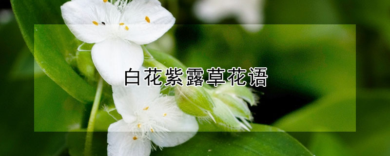 ׻¶ݻ
