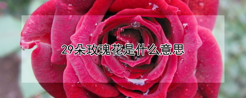 29õ廨ʲô˼29õ廨Щ壿