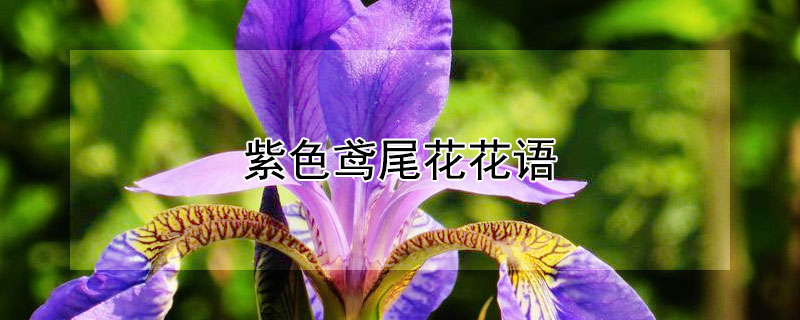 ɫβɫβʲô壿