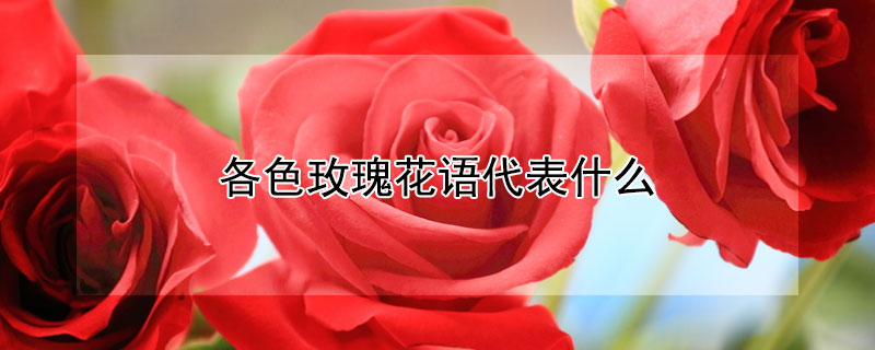 ͬɫõ廨Щ壿