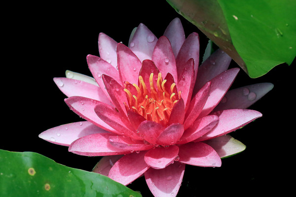 ˯Ļ