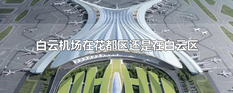 ƻڻڰ