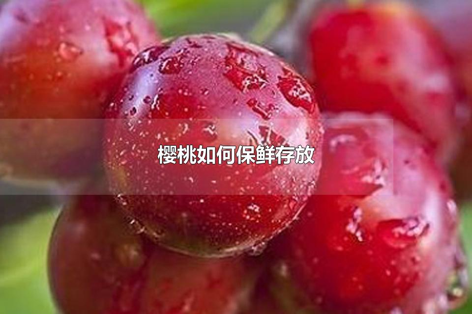 ӣαʴ ôϴӣҸɾ