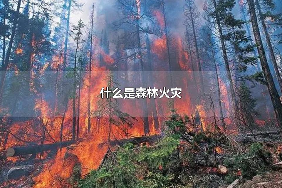 ʲôɭֻ Ԥɭֻ