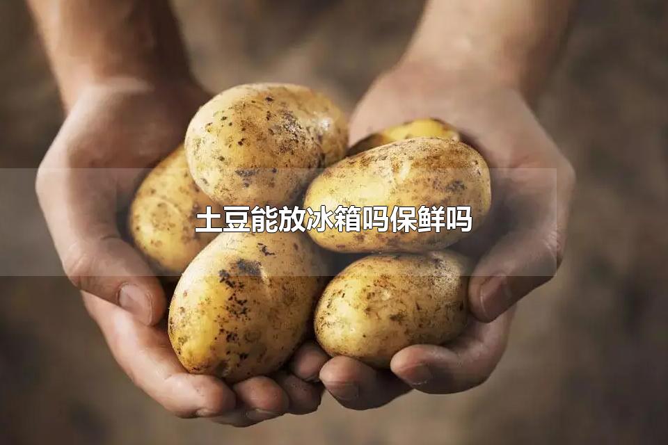 ܷű Ӫ