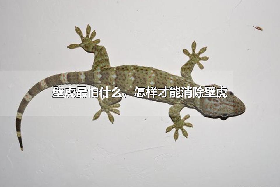 ڻʲôڻ ڱڻĽ