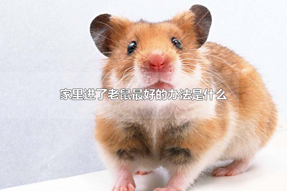 õİ취ʲô 