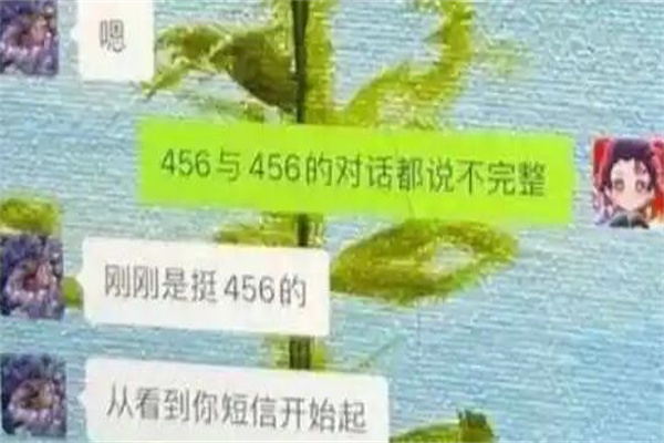 456ʲô?г(ָɧ)