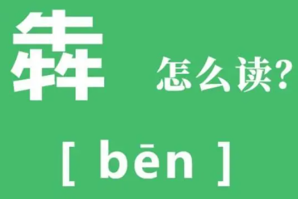 ţĶʲô?bn(Ϊ)