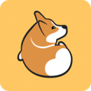 Corgi
