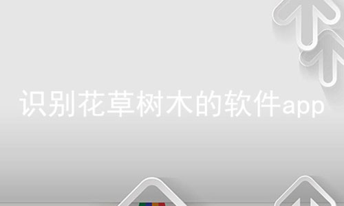 ʶ𻨲ľapp