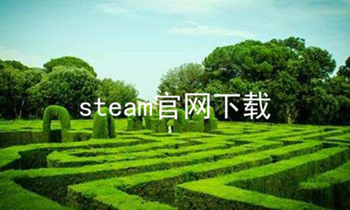steam