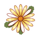 ż
